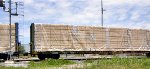 LRWN 873630